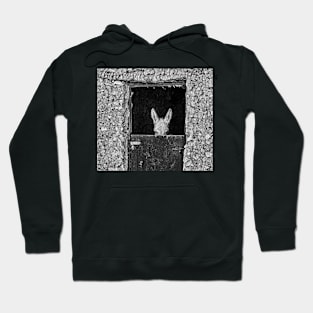 Donkey. Hoodie